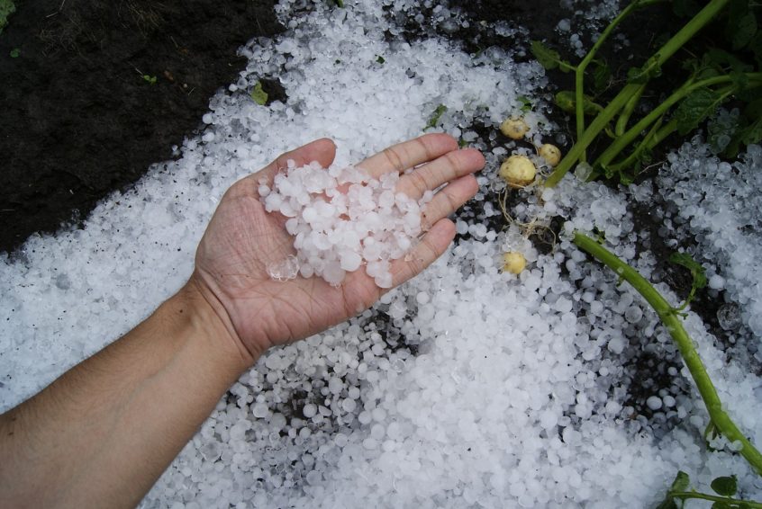 A hand holding hail
