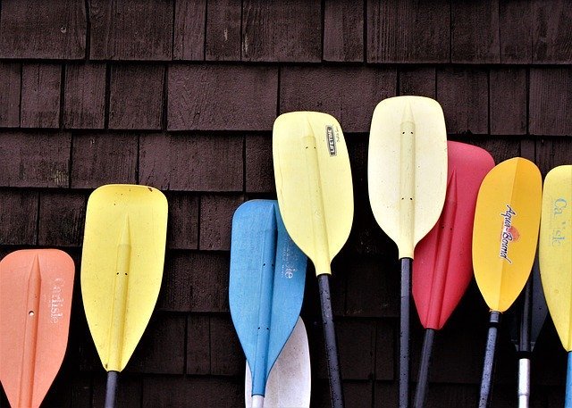 Kayak paddles leaning against a wall