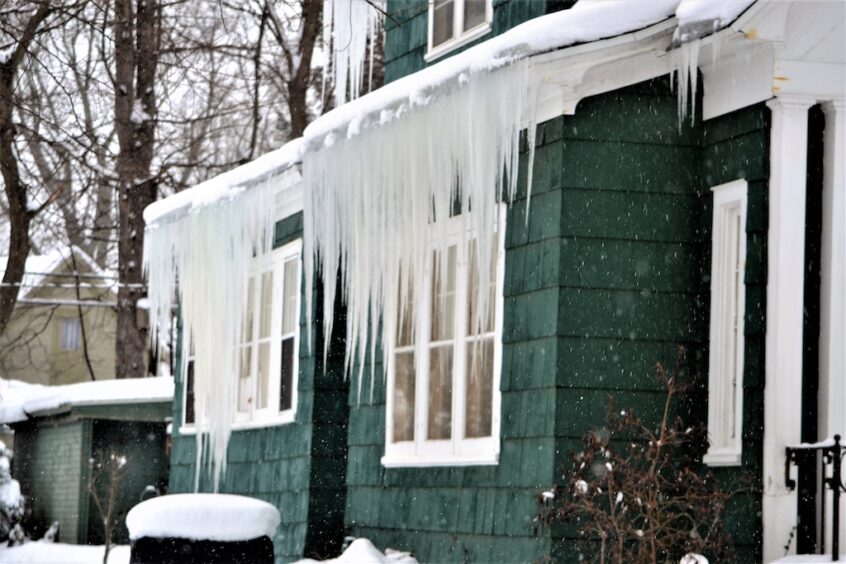 Green house with ice dams and icicles on roof.