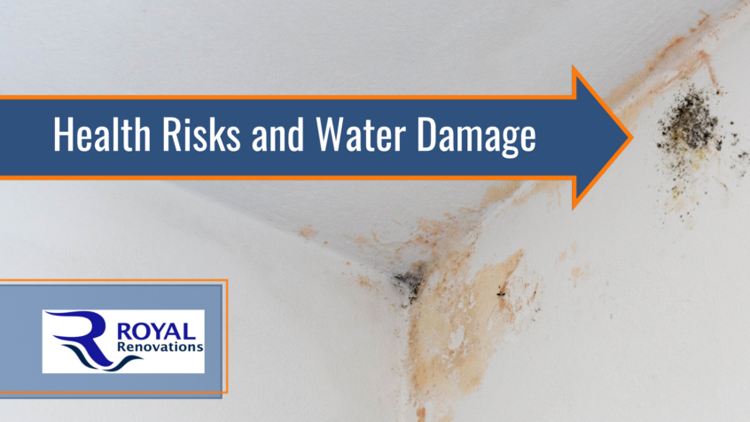 A white wall shows signs of mold and water damage, including staining and browning.